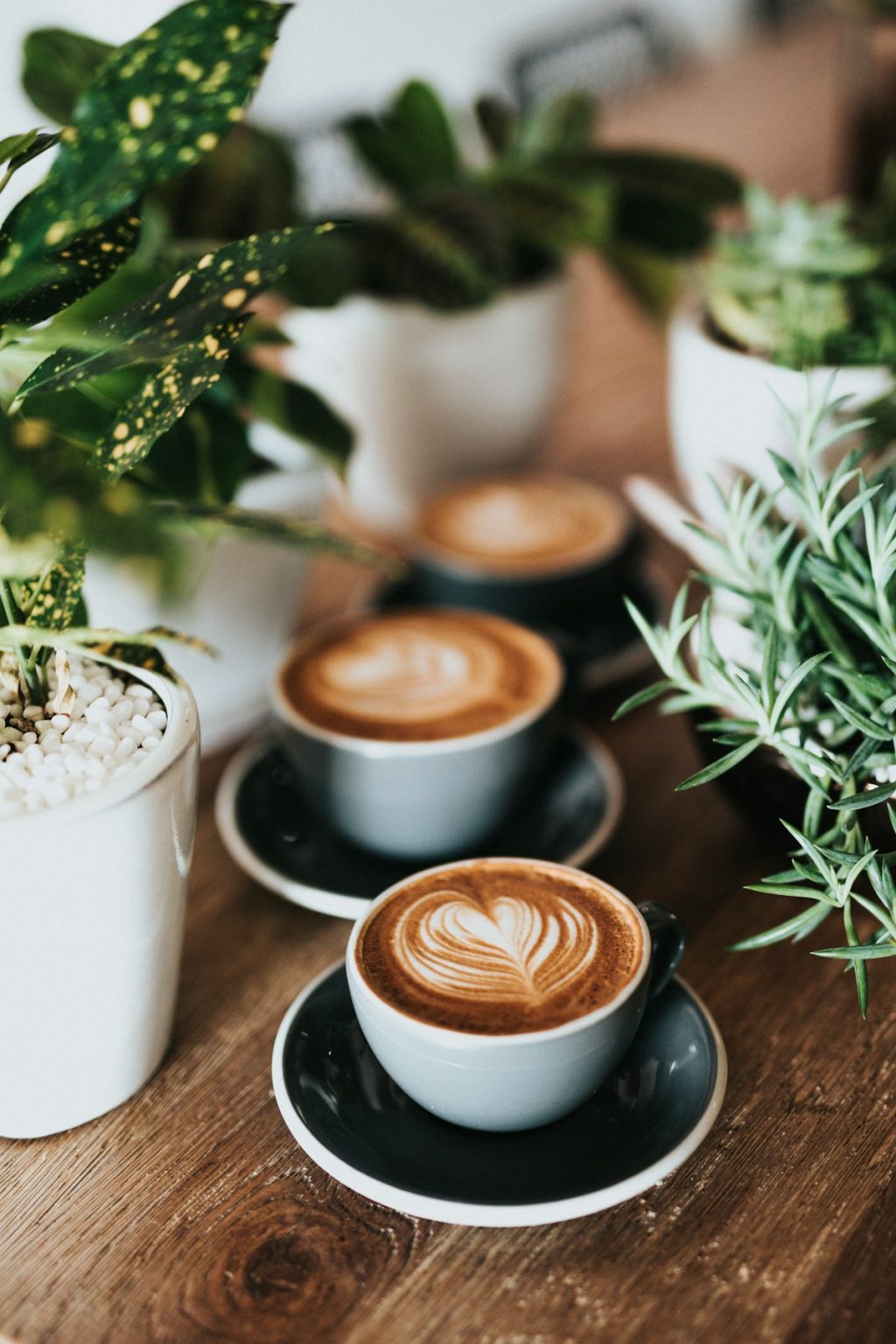 Morning latte Morning latte — café menu sample